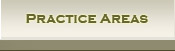 Practice Areas
